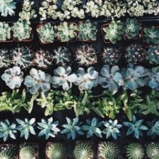 marketing-optimization