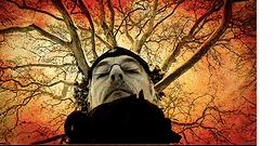 right_brain_renaissance